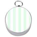 Vertical Stripes - White and Pale Green Silver Compass