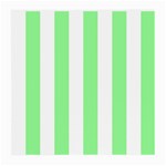 Vertical Stripes - White and Light Green Medium Glasses Cloth (2 Sides)