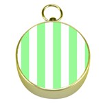 Vertical Stripes - White and Light Green Gold Compass