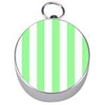 Vertical Stripes - White and Light Green Silver Compass