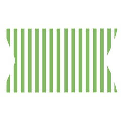 Vertical Stripes Waistband Front