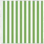 Vertical Stripes - White and Dollar Bill Green Canvas 16  x 16 