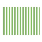 Vertical Stripes - White and Dollar Bill Green Double Sided Flano Blanket (Mini)