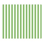 Vertical Stripes - White and Dollar Bill Green Double Sided Flano Blanket (Small)