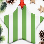 Vertical Stripes - White and Dollar Bill Green Ornament (Star)