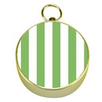 Vertical Stripes - White and Dollar Bill Green Gold Compass