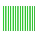 Vertical Stripes - White and Lime Green Double Sided Flano Blanket (Mini)