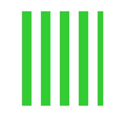 Vertical Stripes Front Inside