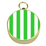 Vertical Stripes - White and Lime Green Gold Compass