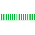 Vertical Stripes - White and Dark Pastel Green Flano Scarf (Large)