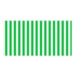 Vertical Stripes - White and Dark Pastel Green Satin Shawl