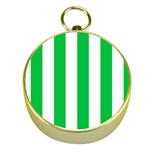 Vertical Stripes - White and Dark Pastel Green Gold Compass