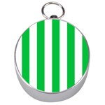 Vertical Stripes - White and Dark Pastel Green Silver Compass