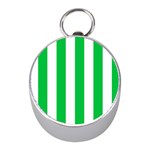 Vertical Stripes - White and Dark Pastel Green Silver Compass (Mini)
