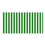 Vertical Stripes - White and Green Satin Shawl