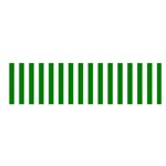 Vertical Stripes - White and Green Satin Scarf (Oblong)