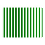 Vertical Stripes - White and Green Double Sided Flano Blanket (Mini)