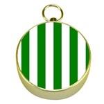 Vertical Stripes - White and Green Gold Compass