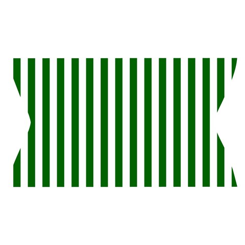 Vertical Stripes Waistband Front