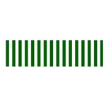 Vertical Stripes - White and Dark Green Satin Scarf (Oblong)