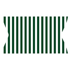 Vertical Stripes Waistband Front