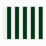 Vertical Stripes - White and Forest Green Small Glasses Cloth