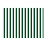 Vertical Stripes - White and Forest Green Double Sided Flano Blanket (Mini)