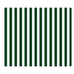 Vertical Stripes - White and Forest Green Double Sided Flano Blanket (Small)