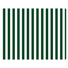 Vertical Stripes 60 x50  Blanket Back