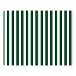 Vertical Stripes - White and Forest Green Double Sided Flano Blanket (Large)