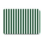 Vertical Stripes - White and Forest Green Plate Mat