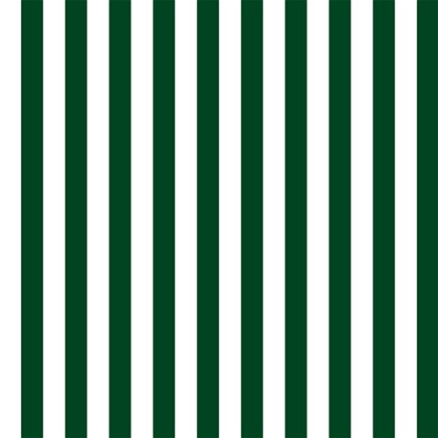 Vertical Stripes 12 x12  Scrapbook Page - 1