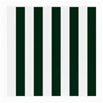 Vertical Stripes - White and Deep Green Medium Glasses Cloth (2 Sides)