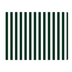 Vertical Stripes - White and Deep Green Double Sided Flano Blanket (Mini)