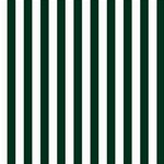 Vertical Stripes - White and Deep Green ScrapBook Page 8  x 8 