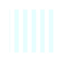 Vertical Stripes Front Inside