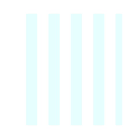 Vertical Stripes Front Inside