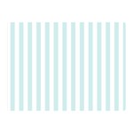 Vertical Stripes - White and Light Cyan Double Sided Flano Blanket (Mini)
