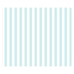 Vertical Stripes - White and Light Cyan Double Sided Flano Blanket (Small)