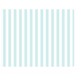 Vertical Stripes - White and Light Cyan Double Sided Flano Blanket (Medium)