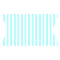 Vertical Stripes Waistband Front
