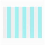 Vertical Stripes - White and Celeste Cyan Small Glasses Cloth (2 Sides)