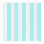 Vertical Stripes - White and Celeste Cyan Medium Glasses Cloth (2 Sides)