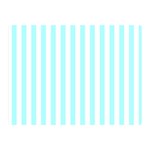 Vertical Stripes - White and Celeste Cyan Double Sided Flano Blanket (Mini)