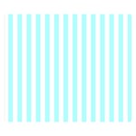Vertical Stripes - White and Celeste Cyan Double Sided Flano Blanket (Small)