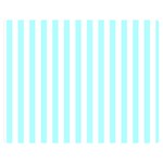 Vertical Stripes - White and Celeste Cyan Double Sided Flano Blanket (Medium)