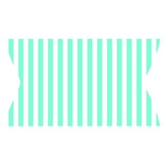 Vertical Stripes Waistband Front