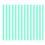 Vertical Stripes - White and Aquamarine Double Sided Flano Blanket (Small)