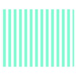 Vertical Stripes - White and Aquamarine Double Sided Flano Blanket (Medium)