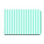 Vertical Stripes - White and Aquamarine Small Doormat